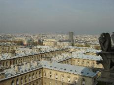 Paris from Notre Dame