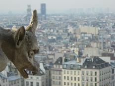 Gargoyle's view